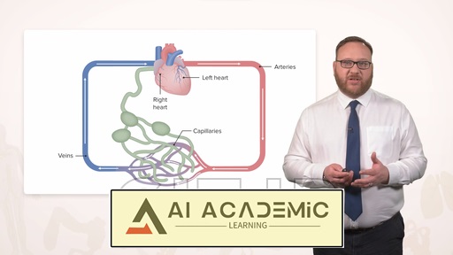 لنفاوی و اعصاب ناحیه شکم
