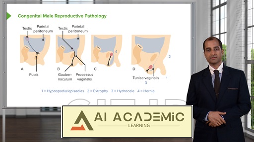 بیماری‌های دستگاه تناسلی مردان