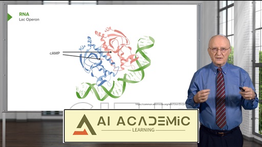 کنترل متابولیک