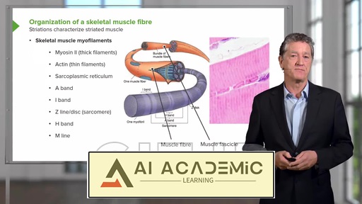 بافت ماهیچه‌ای