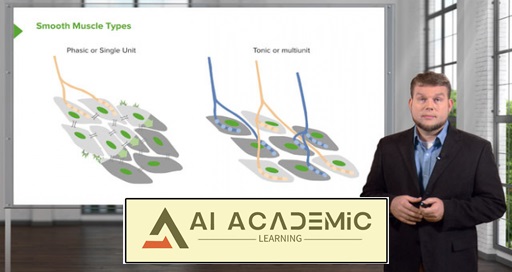 فیزیولوژی اسکلتی-عضلانی