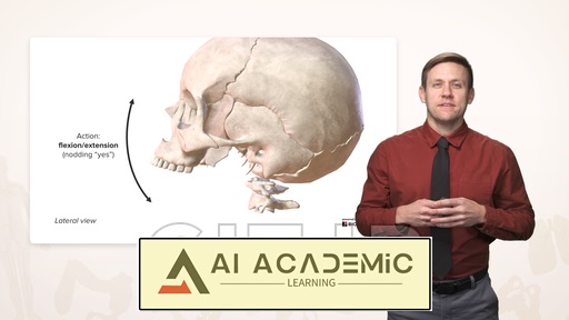 آناتومی گردن