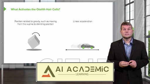 نوروفیزیولوژی