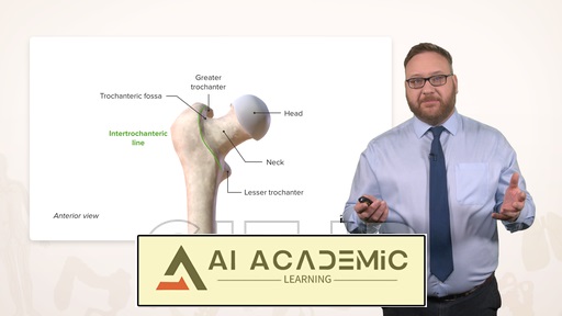 استخوان‌شناسی و آناتومی سطحی اندام‌های تحتانی