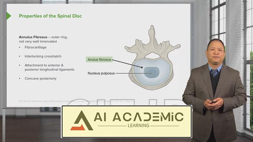 تشخیص استئوپاتیک در ناحیه مهره‌های کمری