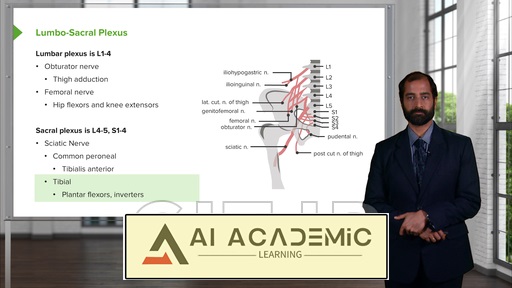 سایر بیماری‌ها - هیدروسفالی، بیماری عصبی-عضلانی، پلکسوپاتی و مونونوریت