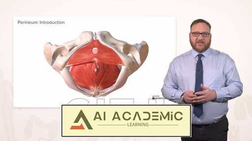 میان‌دوراه (پرینیوم یا پرینه)