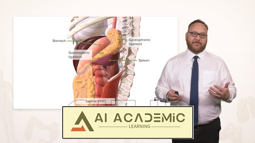 صفاق و حفره شکمی-لگنی