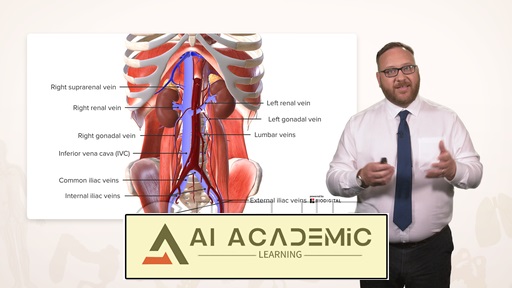 دیواره خلفی شکم