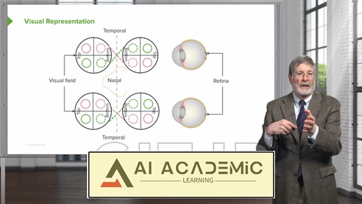 بیماری‌های بخش خلفی چشم