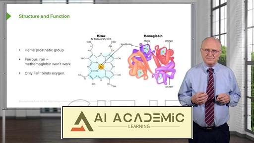 متابولیسم پورین و پیریمیدین