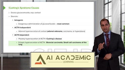 آناتومی بالینی مثانه