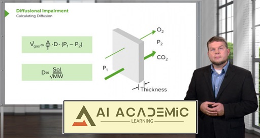 فیزیولوژی تنفس