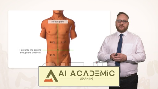 آناتومی سطحی شکم