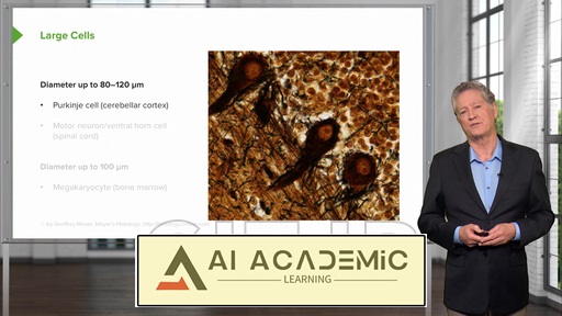 سلول پستانداران