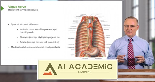 احشای قفسه سینه با دکتر کنبی