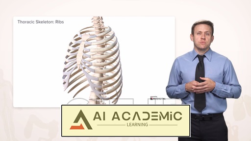 آناتومی قفسه سینه