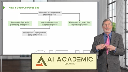 تعاملات تومور-میزبان