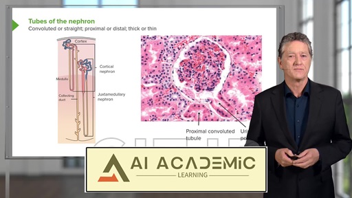 بافت‌شناسی ادراری