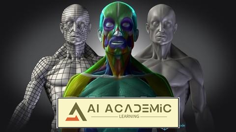 تسلط به آناتومی انسان برای هنرمندان سه‌بعدی