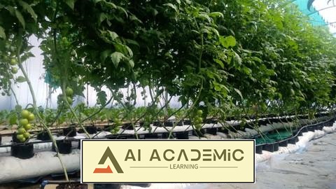 هیدروپونیک - اصول کشاورزی بدون خاک