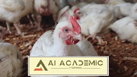 دوره ویدئویی مرغداری جوجه کبابی