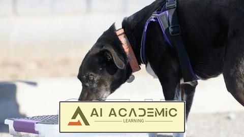 تشخیص بو، عملکرد بویایی یا بینی برای سگ های خانگی