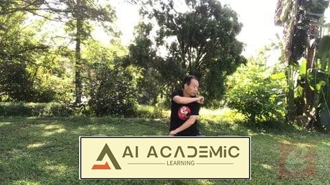 تای‌چی رزمی - چارچوب روتین جدید سبک چن XinJia 2 برای تناسب اندام