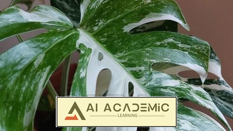 راهنمای فوق‌العاده آسان برای مراقبت از گیاه آپارتمانی برگ انجیری یا مونسترای ابلق