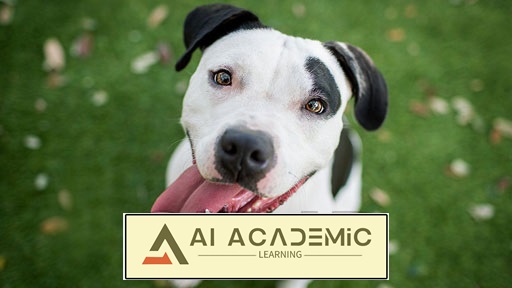 رازهای گرفتن بهترین عکس‌های گرفته شده از سگ