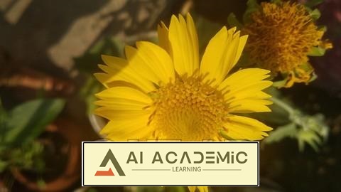 رمزگشایی از اسرار چندجمله‌ ای‌ ها - تسلط به جبر