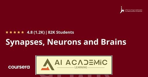 سیناپس‌ها، نورون‌ها و مغزها