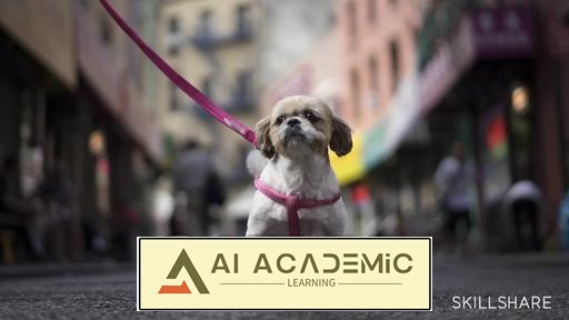 عکس‌های خیابانی: عکاسی از مقیاس، نور و رنگ‌ها