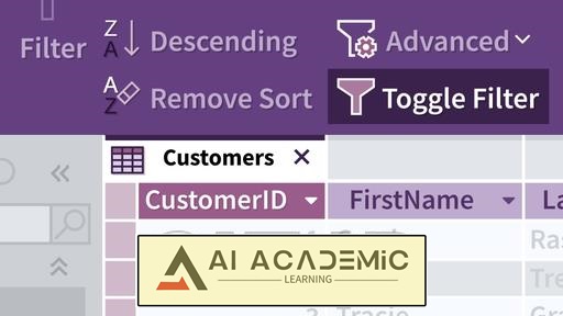 آموزش ضروری Microsoft Access (آفیس 2024/LTSC)